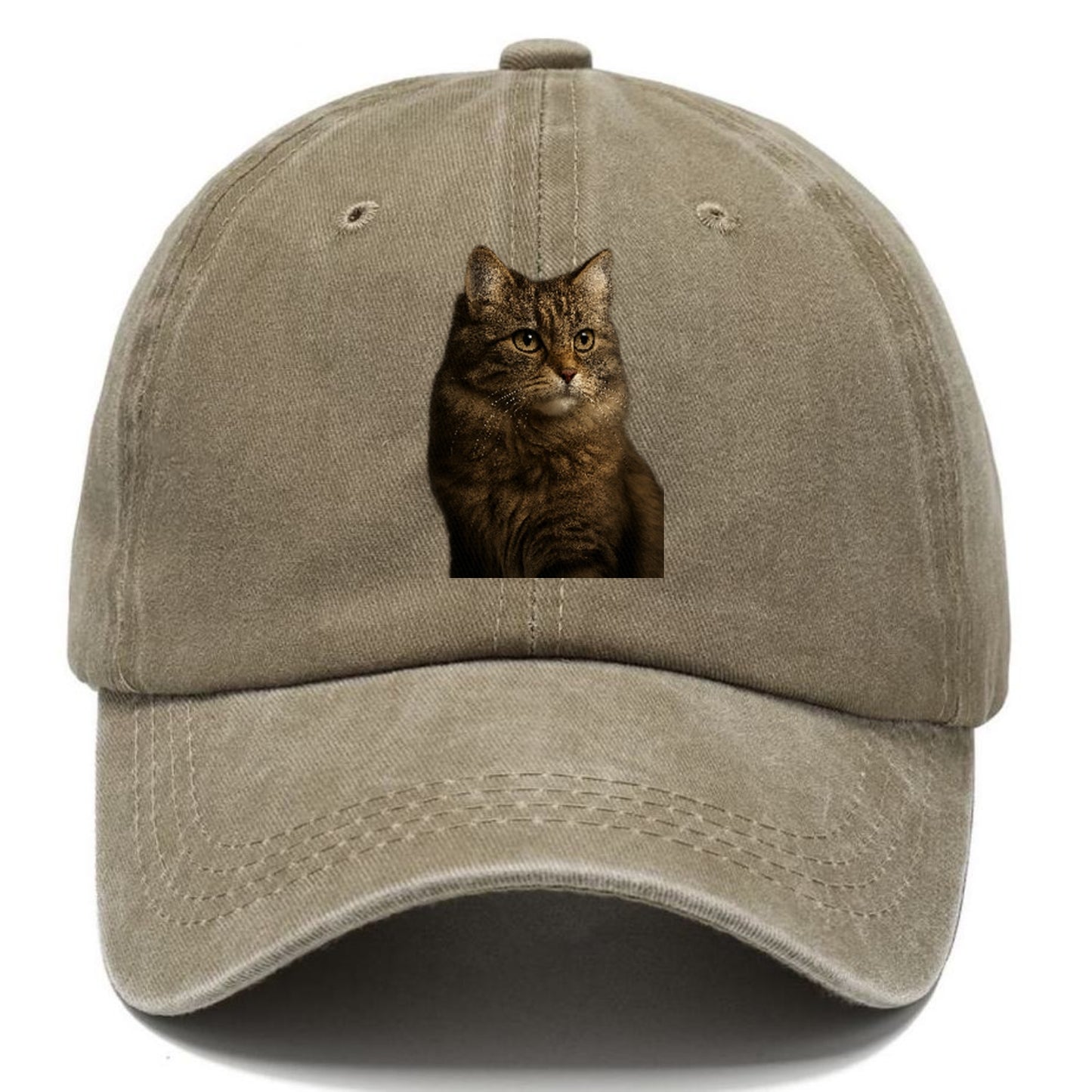 domestic-longhair-graceful-flow Hat