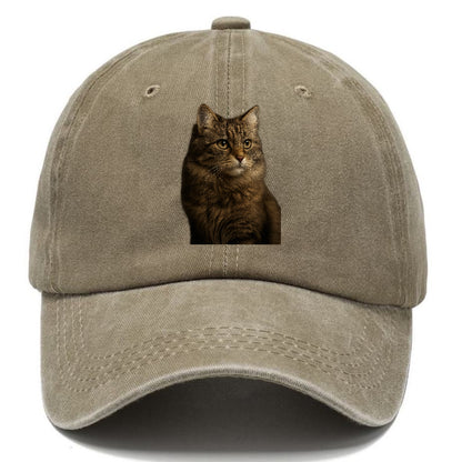 domestic-longhair-graceful-flow Hat