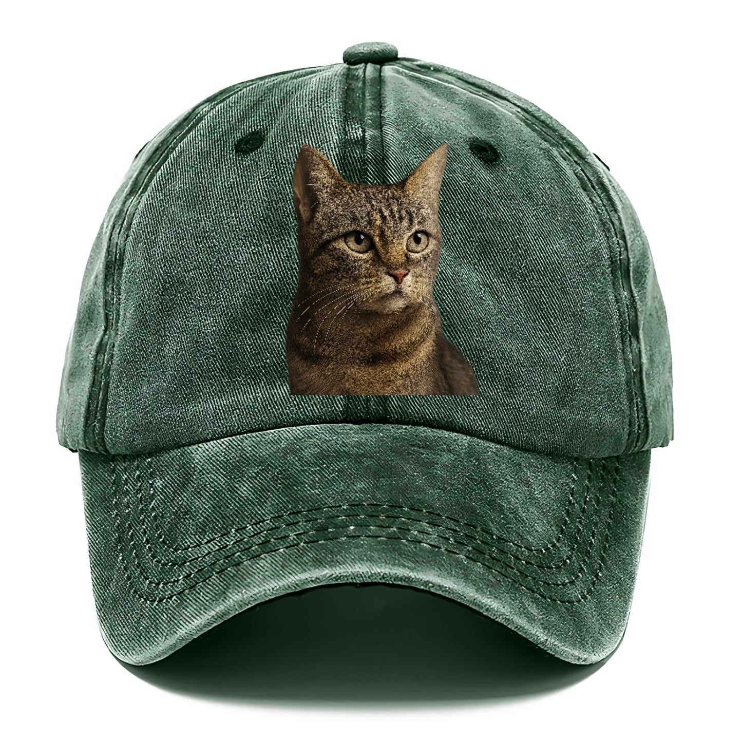 stray-cat-resilient-spirit Hat