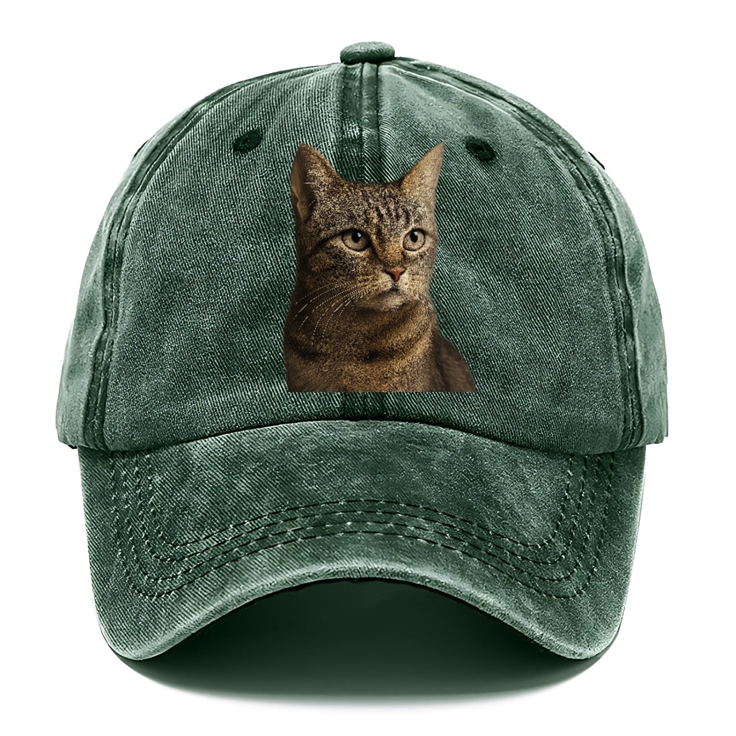 stray-cat-resilient-spirit Hat