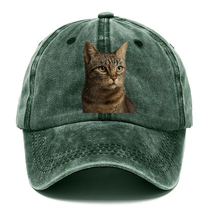stray-cat-resilient-spirit Hat