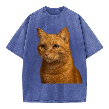 ginger-cat-playful-spirit Hat