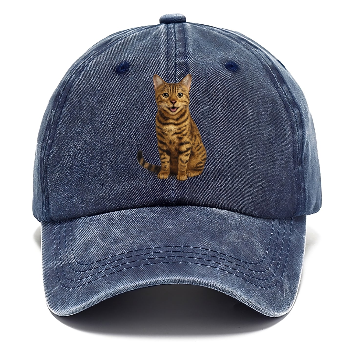 whiskered wonders Hat