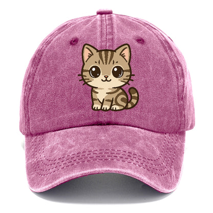 american-shorthair-charming-cat Hat