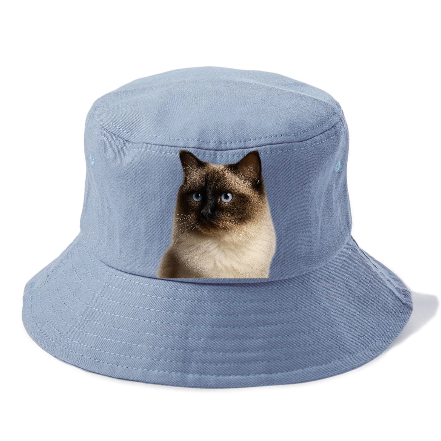 ragdoll-gentle-demeanor Hat