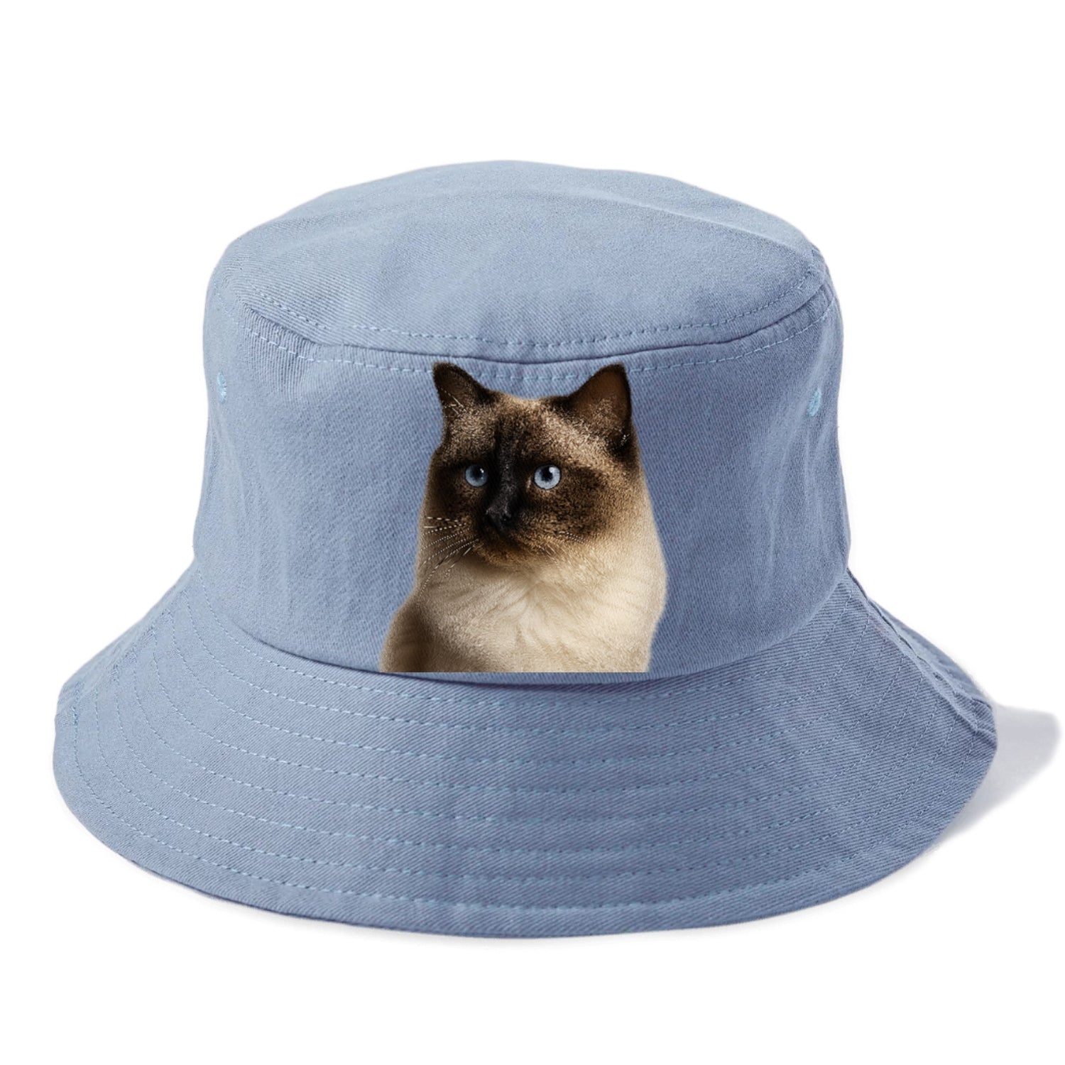 ragdoll-gentle-demeanor Hat