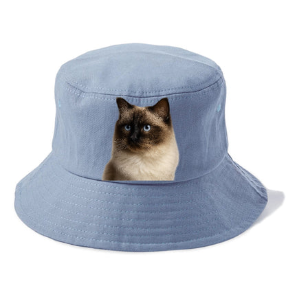 ragdoll-gentle-demeanor Hat