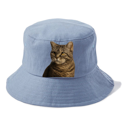 american-wirehair-unique-texture Hat