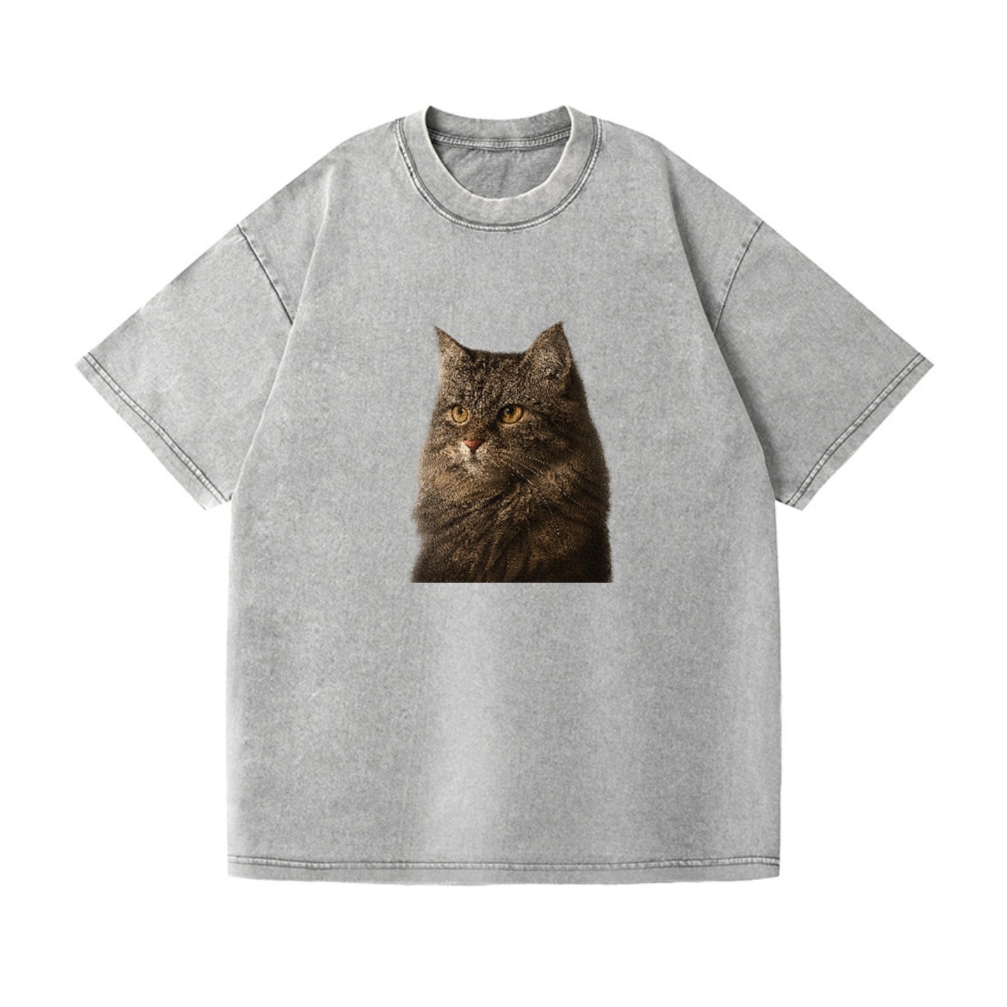 domestic-longhair-graceful-charm Hat