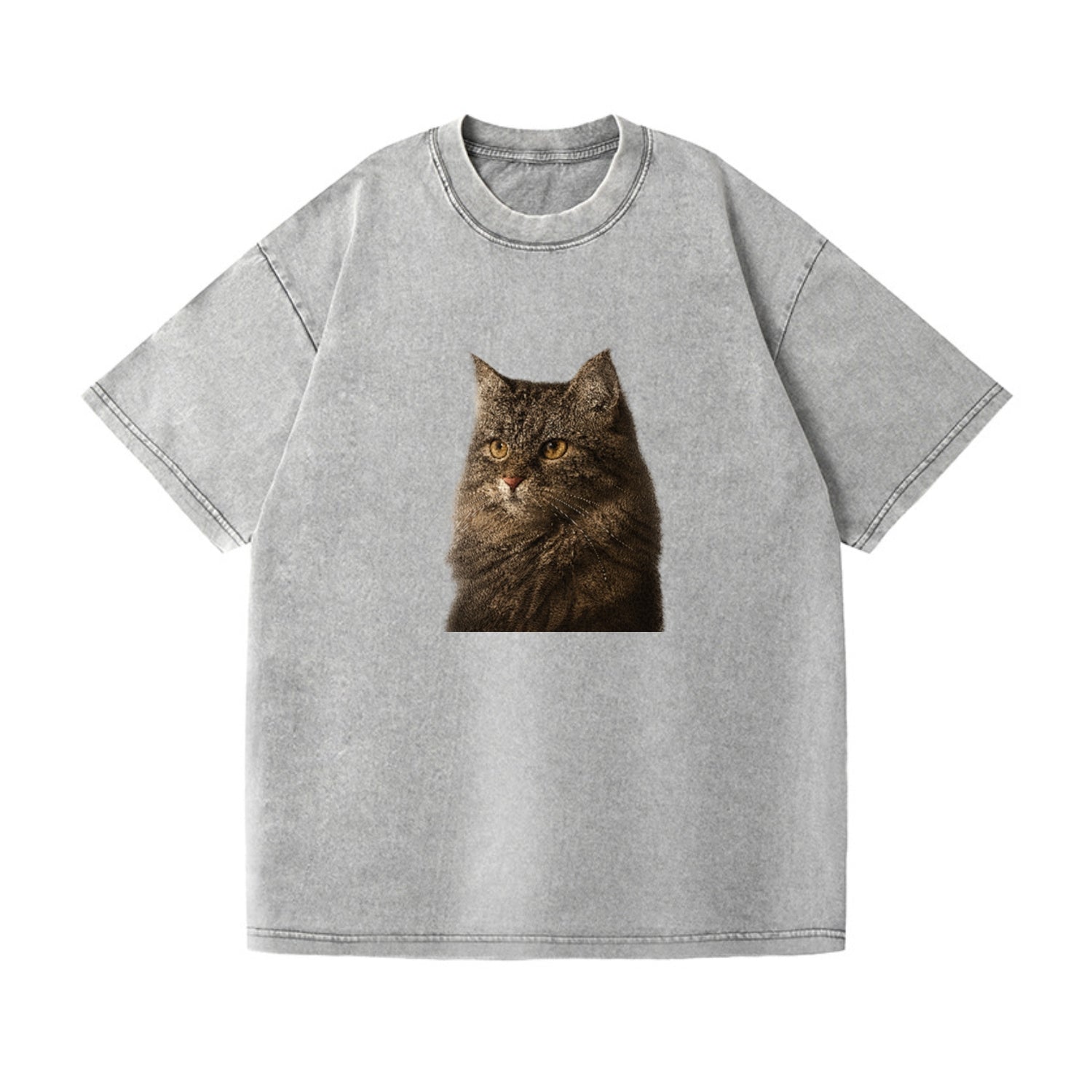 domestic-longhair-graceful-charm Hat