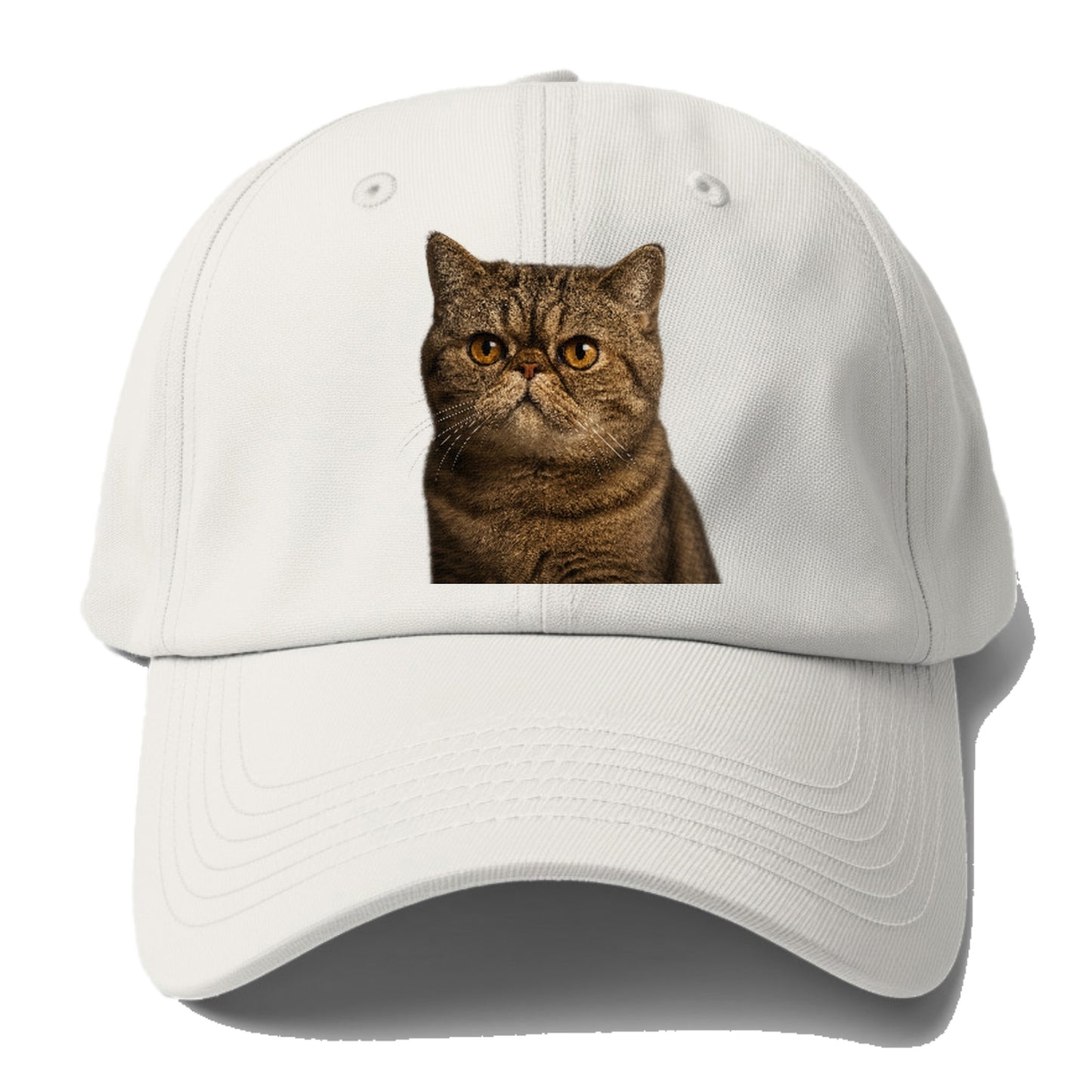 exotic-shorthair-charm Hat