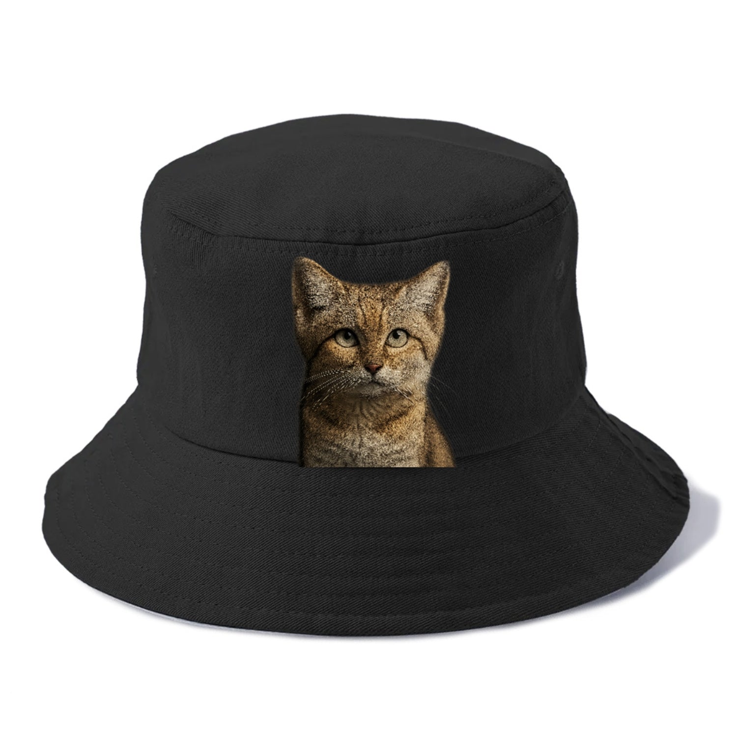 sand-cat-desert-spirit Hat