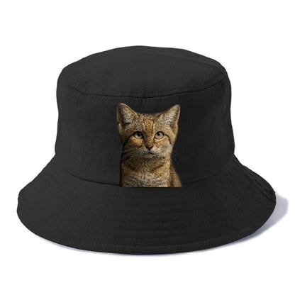 sand-cat-desert-spirit Hat