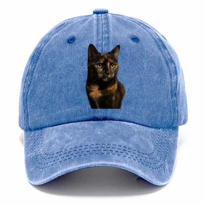 tortie-mix-artistic-charm Hat