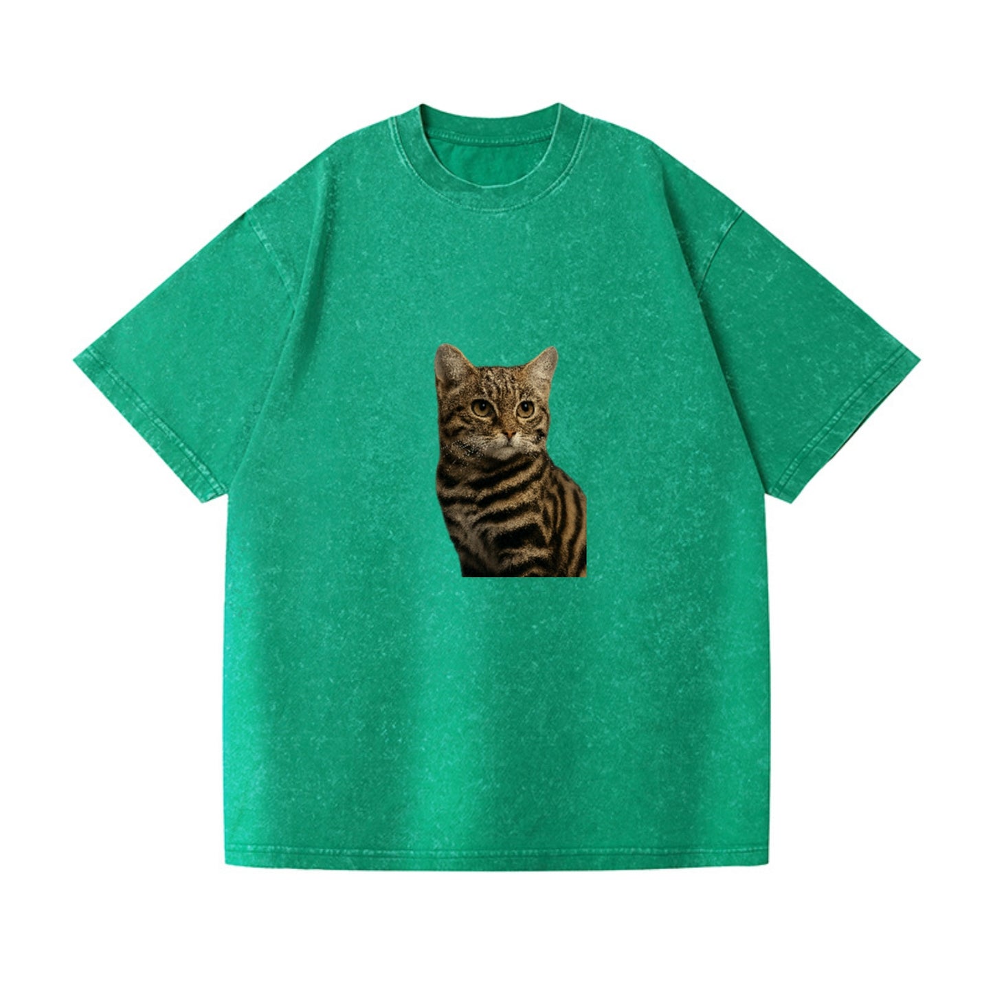 blackfooted-cat-elusive-hunter Hat