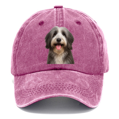 bearded collie: spirited, shaggy soul Hat