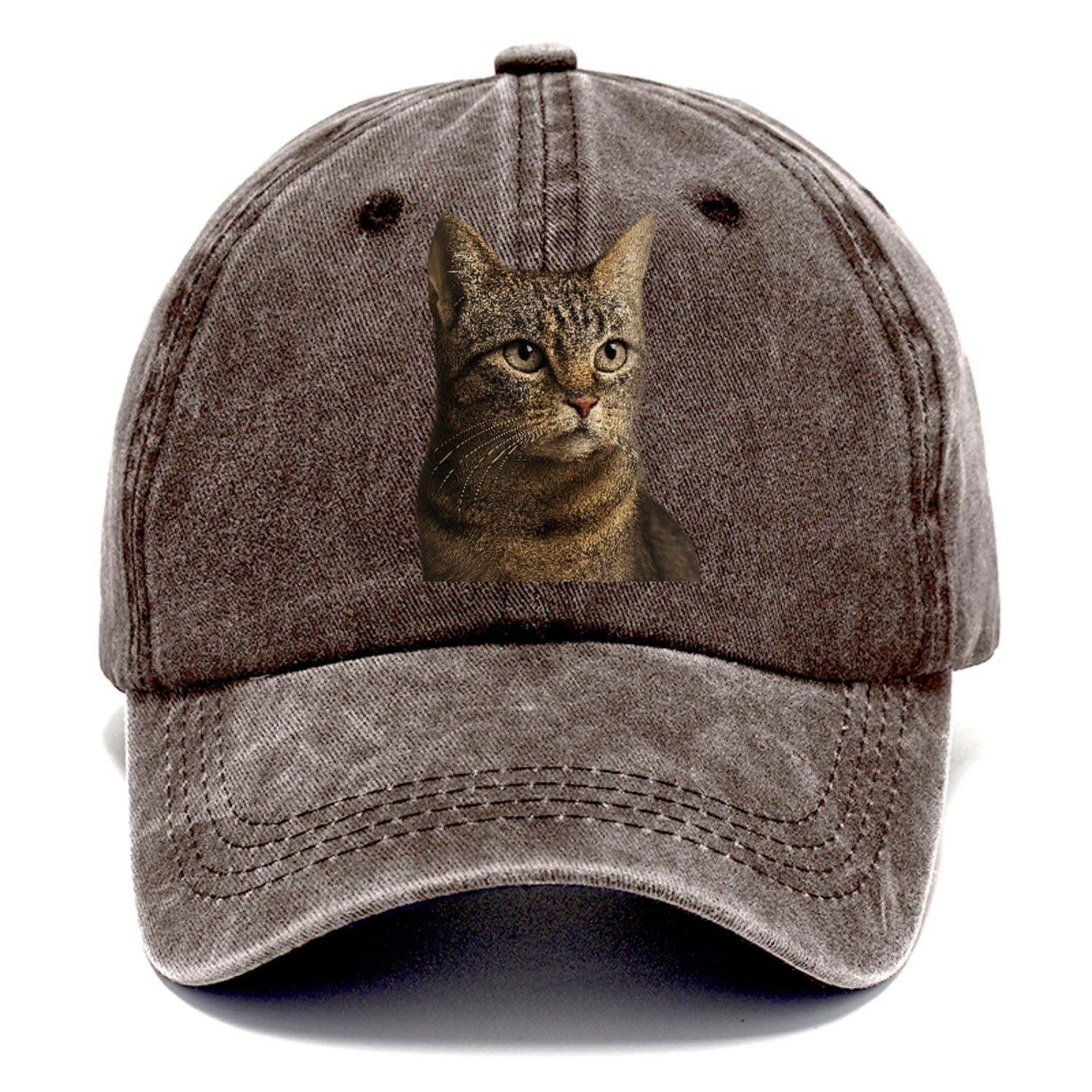 stray-cat-resilient-spirit Hat
