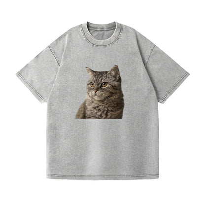 lambkin-gentle-spirit Hat