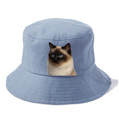ragdoll-gentle-charm Hat