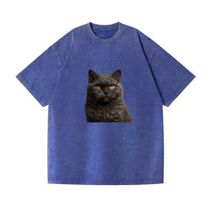 selkirk-rex-curly-charm Hat