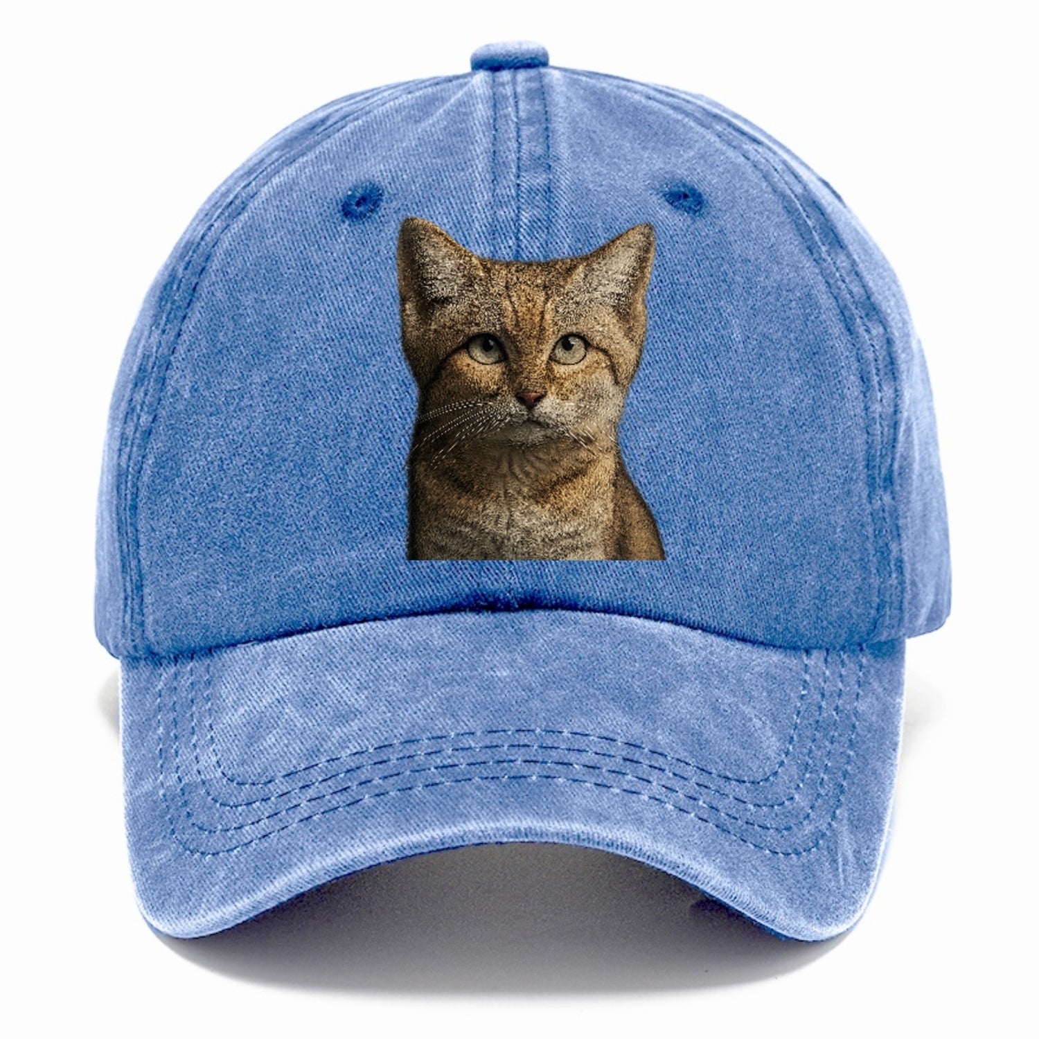 sand-cat-desert-spirit Hat