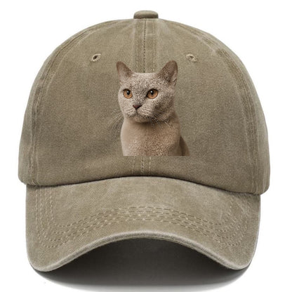 lilac-cat-playful-spirit Hat