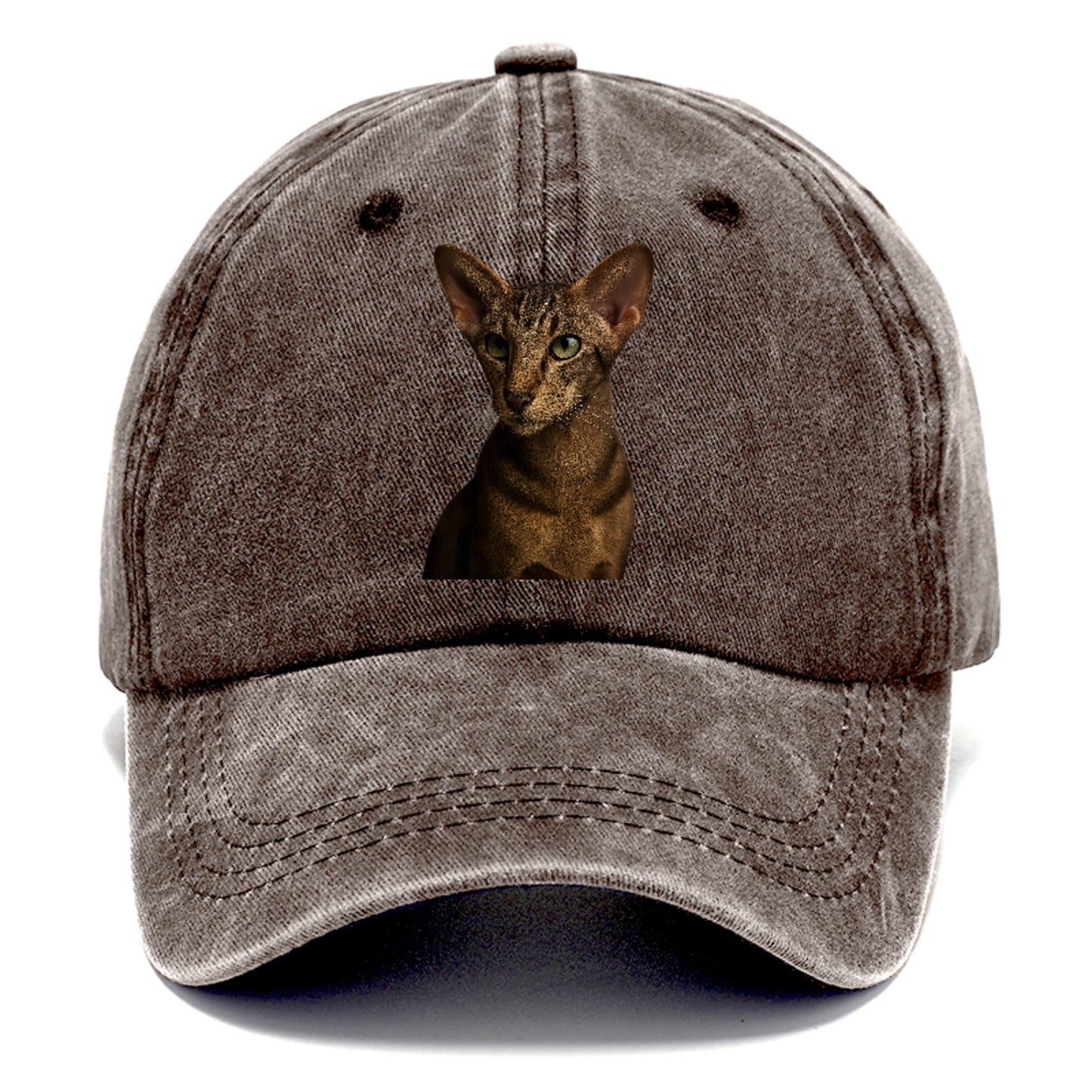 oriental-shorthair-sleek-charm Hat