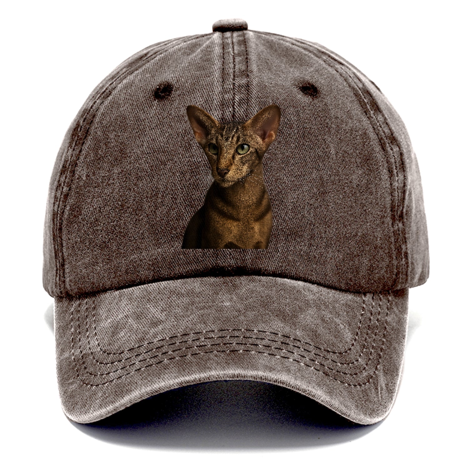 oriental-shorthair-sleek-charm Hat