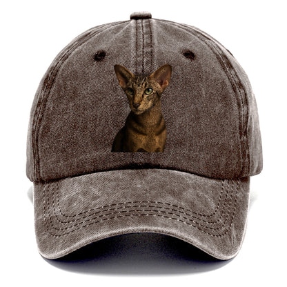 oriental-shorthair-sleek-charm Hat