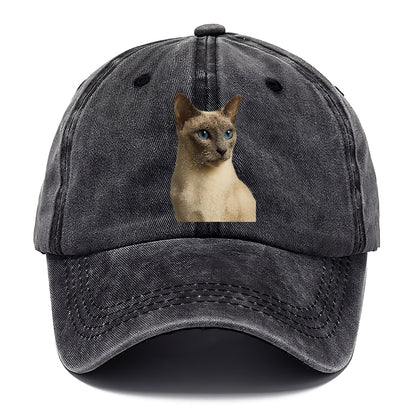 lilac-point-siamese-elegant-mystique Hat