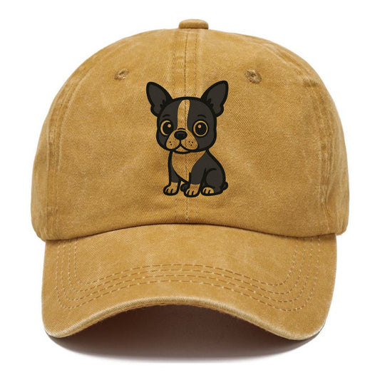 boston terrier black and white sitting pose with tuxedo markings portrait design Hat