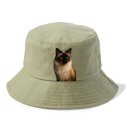 birman-gentle-charm Hat