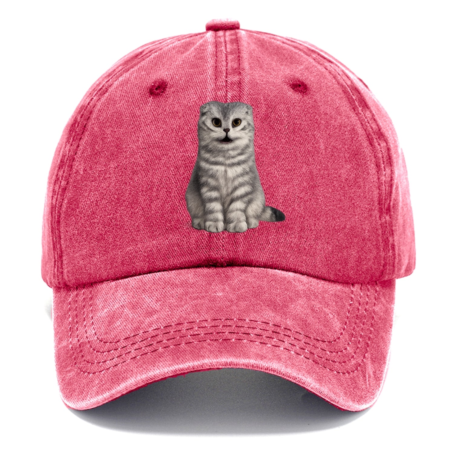 surprised striped cat whimsical portrait Hat