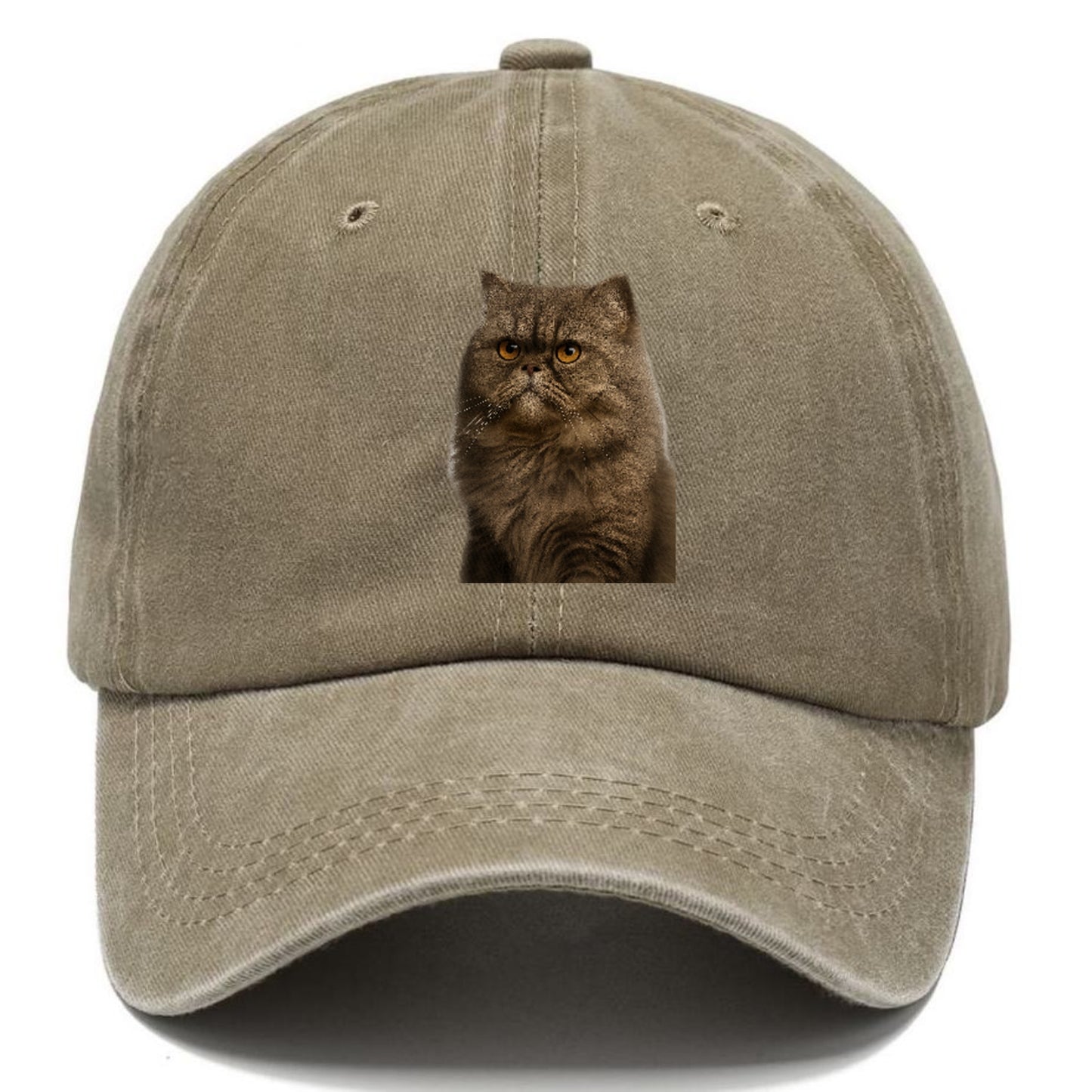 persian-cat-regal-elegance Hat