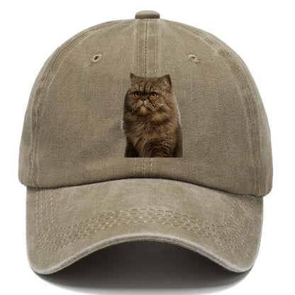 persian-cat-regal-elegance Hat