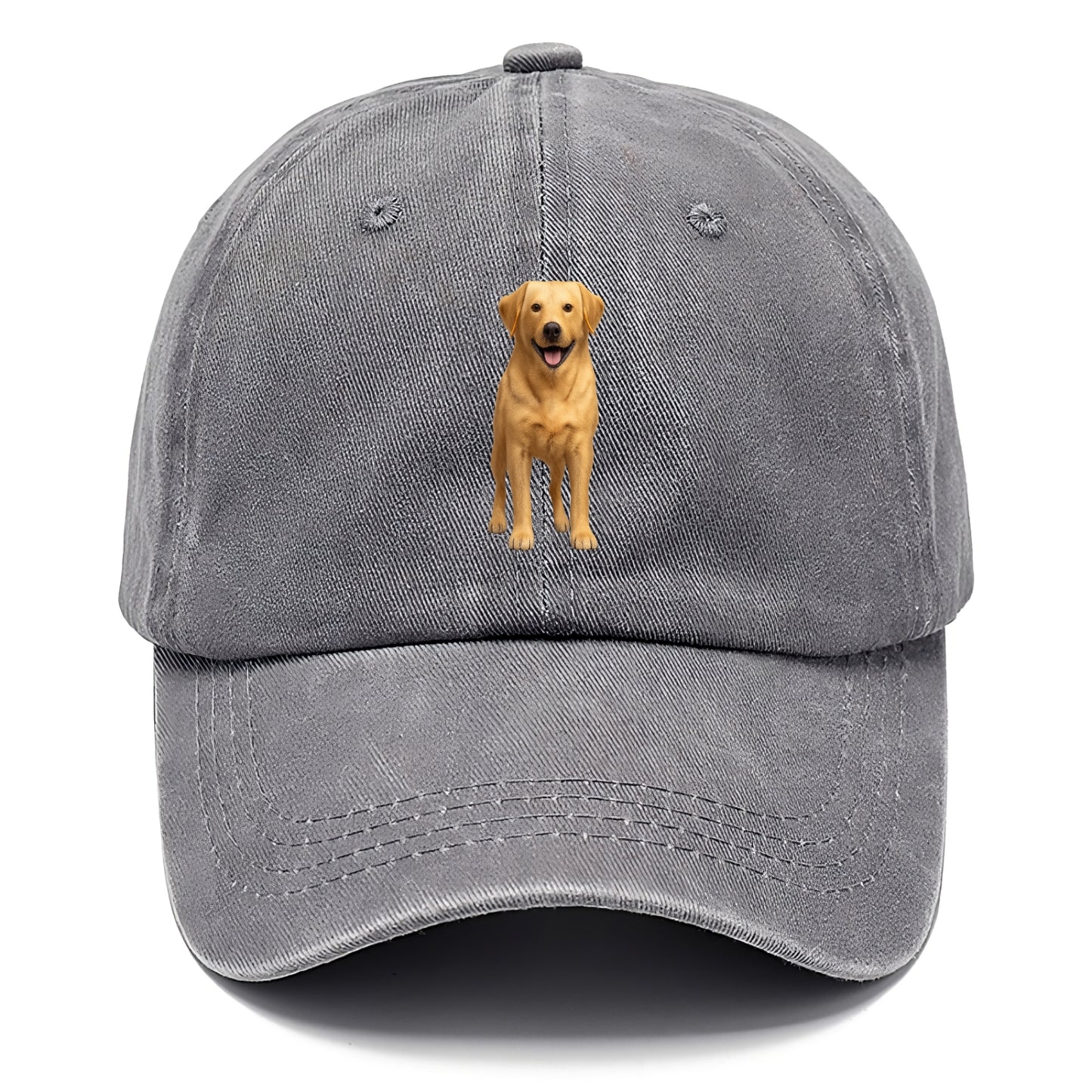 happy golden labrador retriever portrait Hat