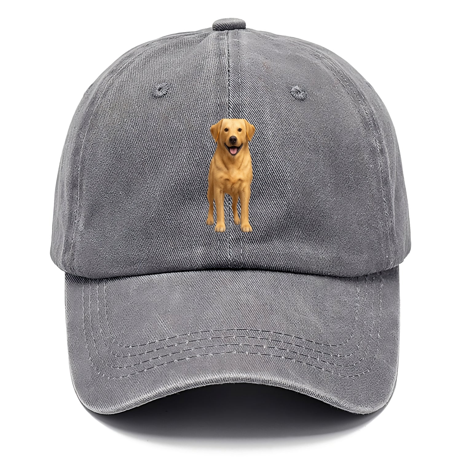 happy golden labrador retriever portrait Hat