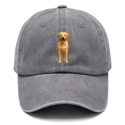 happy golden labrador retriever portrait Hat