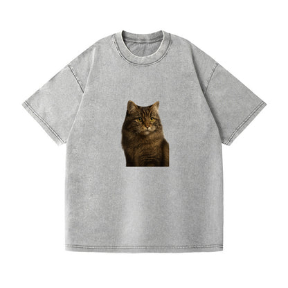 cymric-playful-spirit Hat