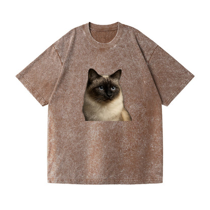 birman-cat-serene-elegance Hat