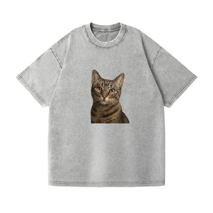 curious-cat-inquisitive-nature Hat