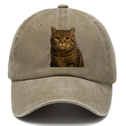 manx-cat-distinct-charm Hat