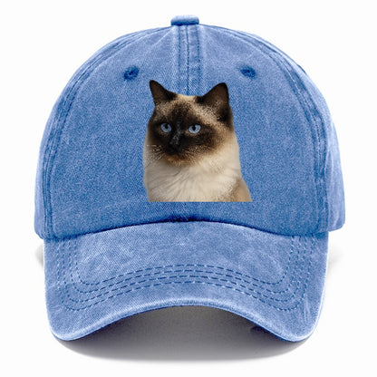ragdoll-gentle-charm Hat