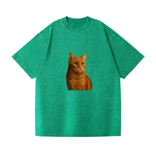 ginger-cat-warmth Hat