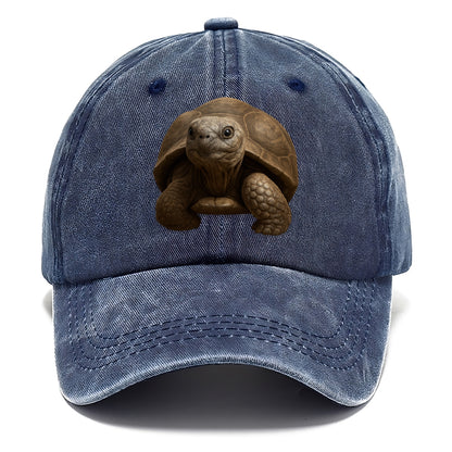 tortoise portrait design Hat