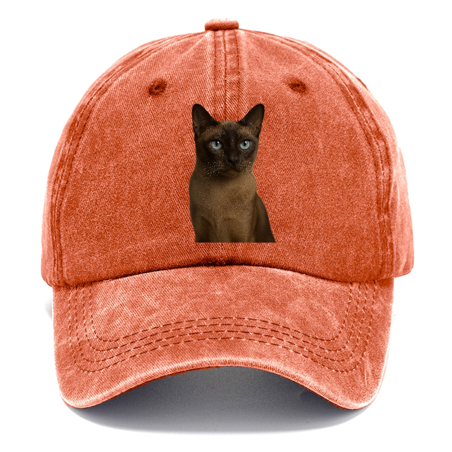 tonkinese-playful-spirit Hat