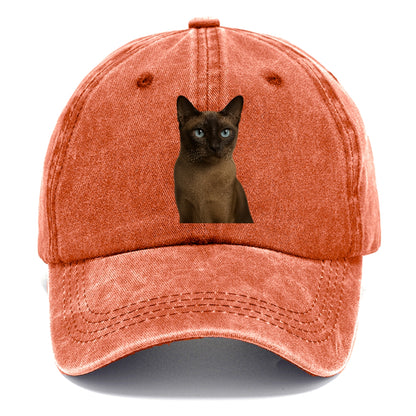 tonkinese-playful-spirit Hat