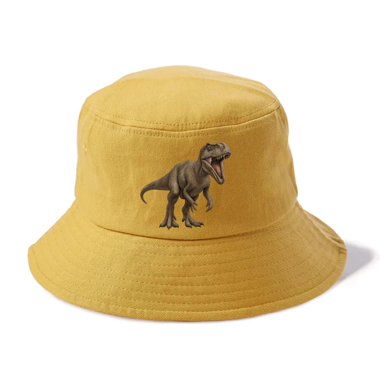 dinosaur t rex Hat