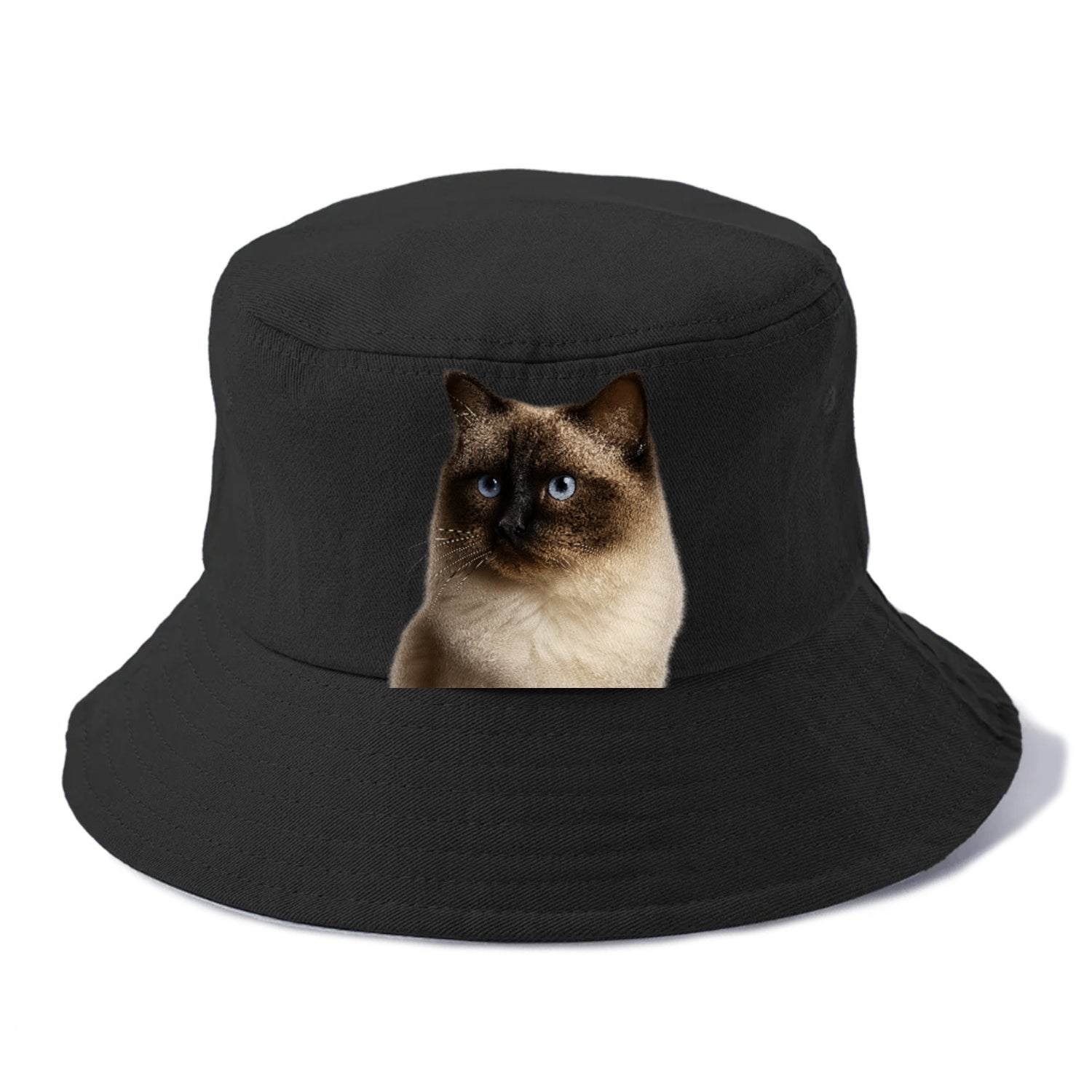 ragdoll-gentle-demeanor Hat