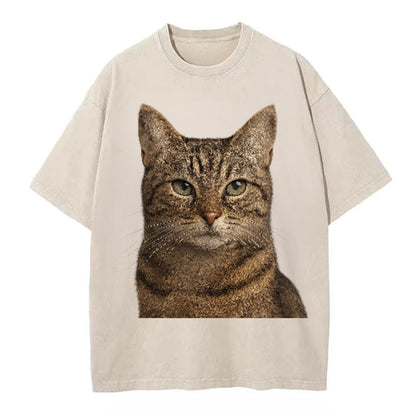 content-cat-curious-charm Hat